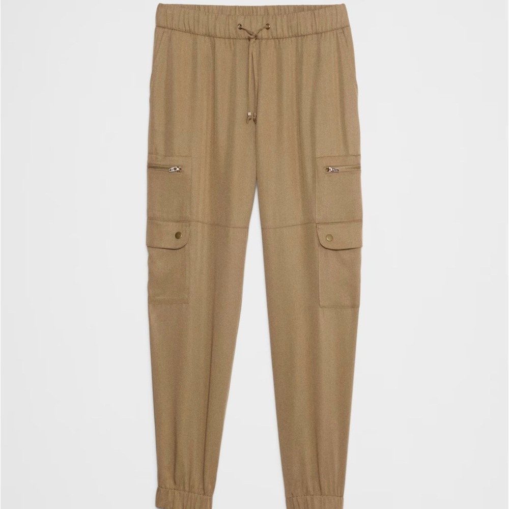 Banana Republic Tensel Cargo Jogger Pants with Elastic Waistband - Picture 6 of 6